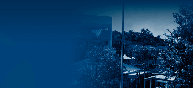 Activities: atividades no campus