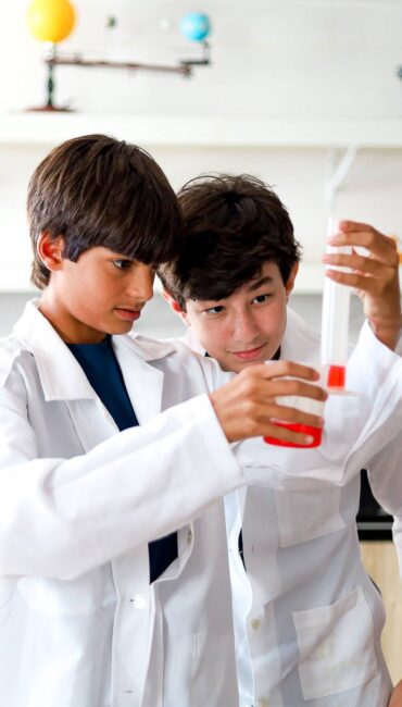 Ensino Fundamental II e Ensino Médio